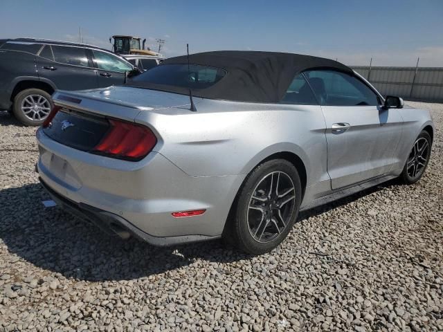 2019 Ford Mustang