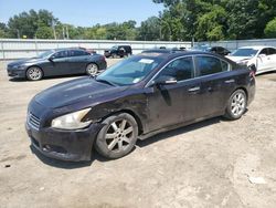 Nissan Maxima salvage cars for sale: 2010 Nissan Maxima S