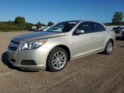 2013 Chevrolet Malibu 1LT for sale in Columbia Station, OH