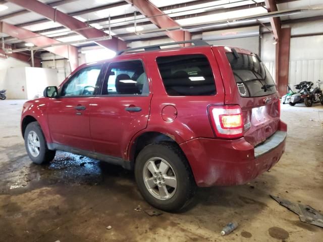 2010 Ford Escape XLT