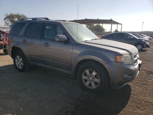 2010 Ford Escape Limited