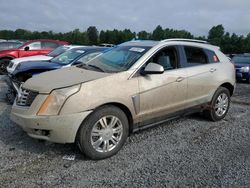 Cadillac salvage cars for sale: 2014 Cadillac SRX Luxury Collection