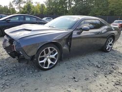 Dodge Challenger salvage cars for sale: 2015 Dodge Challenger SXT Plus