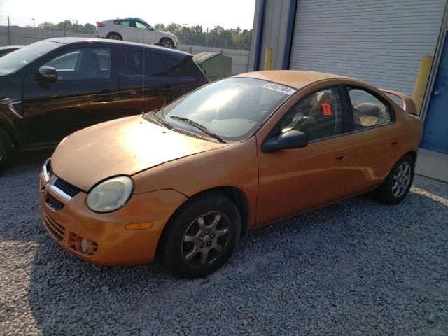 2005 Dodge Neon SXT