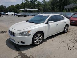 Nissan Maxima salvage cars for sale: 2013 Nissan Maxima S