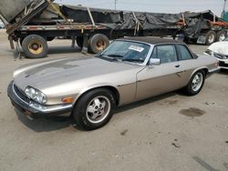 Jaguar xjs salvage cars for sale: 1988 Jaguar Xjsc HE