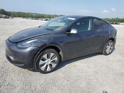 Tesla salvage cars for sale: 2024 Tesla Model Y