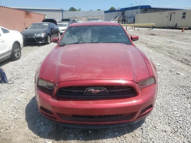 2013 Ford Mustang