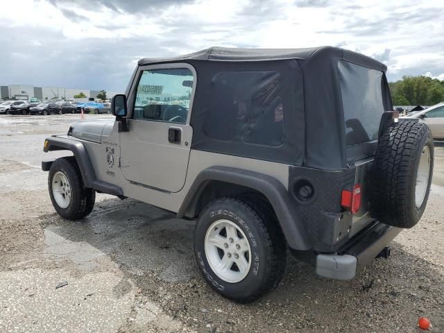 2002 Jeep Wrangler / TJ X