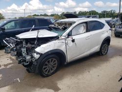 2018 Lexus NX 300 Base for sale in Louisville, KY