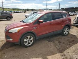 Vehiculos salvage en venta de Copart Colorado Springs, CO: 2014 Ford Escape SE