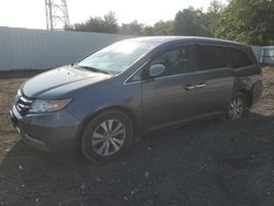 Honda Odyssey ex salvage cars for sale: 2016 Honda Odyssey EX