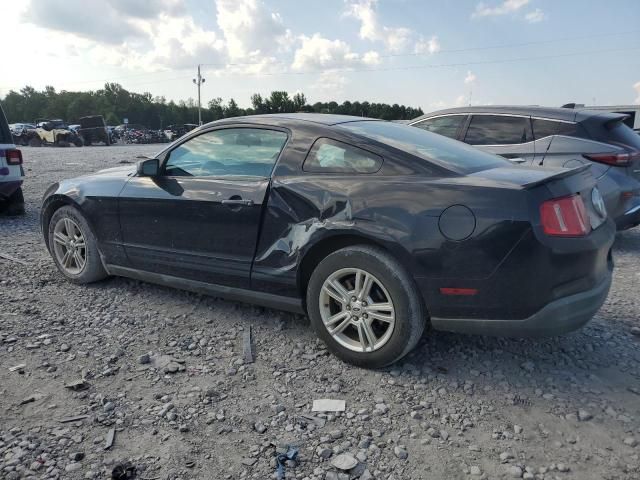 2010 Ford Mustang