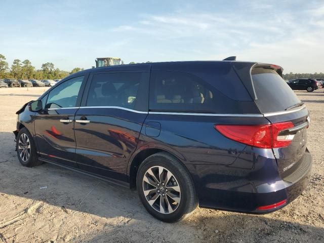 2024 Honda Odyssey EXL