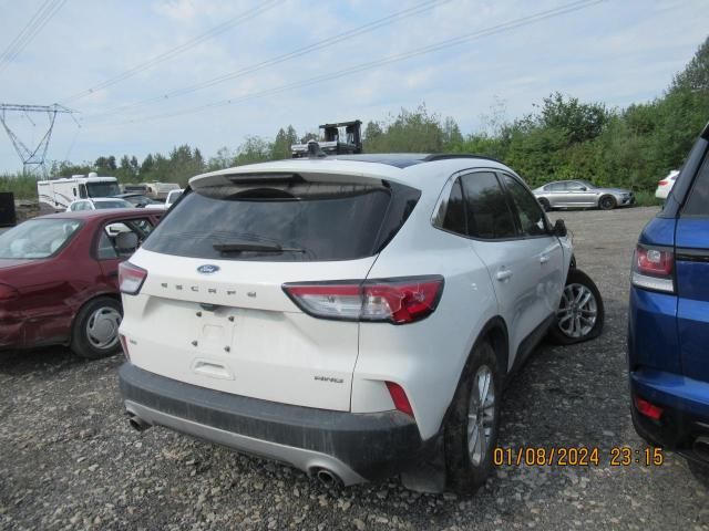 2021 Ford Escape SE