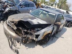 Lexus Vehiculos salvage en venta: 2000 Lexus ES 300