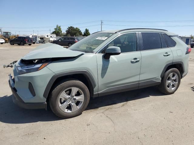 2023 Toyota Rav4 XLE