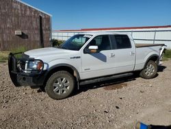 Ford f-150 salvage cars for sale: 2014 Ford F150 Supercrew