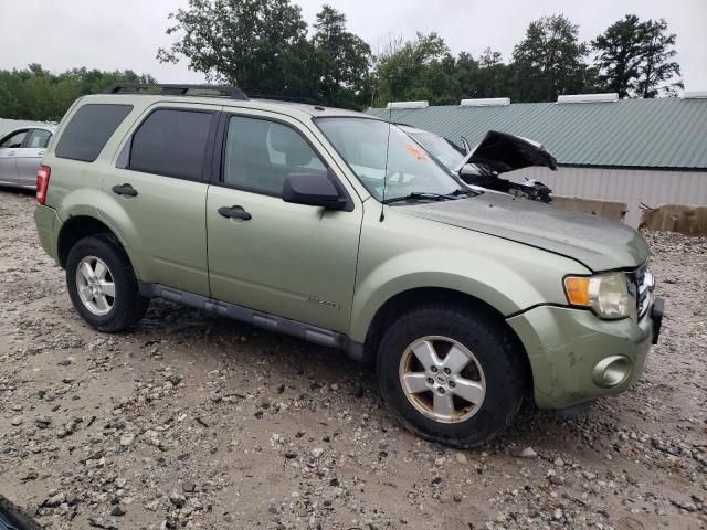 2008 Ford Escape XLT