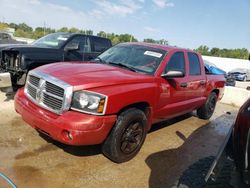 2006 Dodge Dakota Quad SLT for sale in Louisville, KY