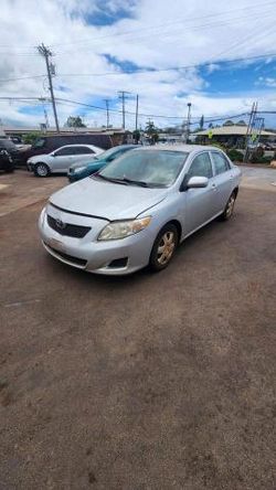 Toyota Corolla salvage cars for sale: 2010 Toyota Corolla Base