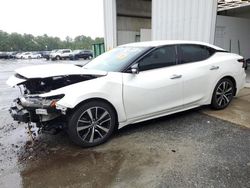 Nissan Maxima salvage cars for sale: 2021 Nissan Maxima SV