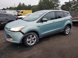 Ford Escape salvage cars for sale: 2013 Ford Escape SE