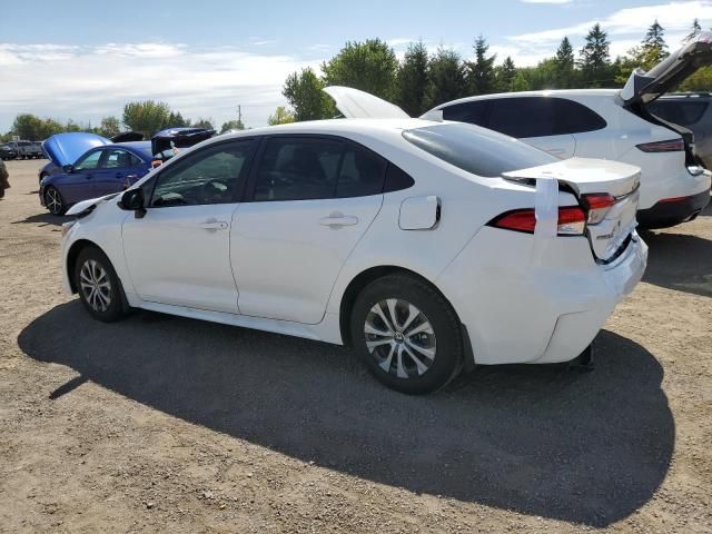 2024 Toyota Corolla LE