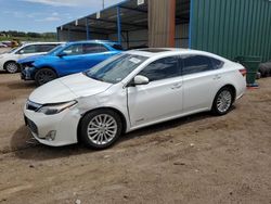 Toyota Avalon salvage cars for sale: 2013 Toyota Avalon Hybrid