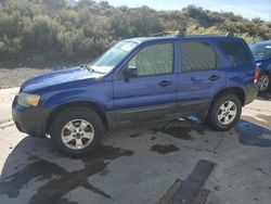 2005 Ford Escape XLT en venta en Reno, NV