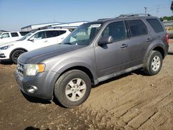 2010 Ford Escape Limited for sale in San Diego, CA