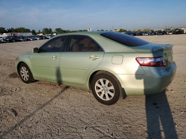 2009 Toyota Camry Hybrid