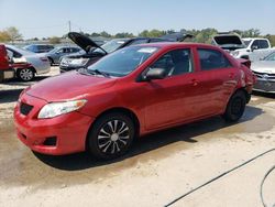 Toyota salvage cars for sale: 2010 Toyota Corolla Base