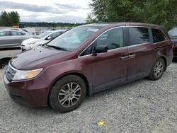 Honda Odyssey exl salvage cars for sale: 2011 Honda Odyssey EXL