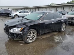 Nissan Maxima salvage cars for sale: 2014 Nissan Maxima S