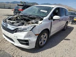 Honda Odyssey exl Vehiculos salvage en venta: 2020 Honda Odyssey EXL