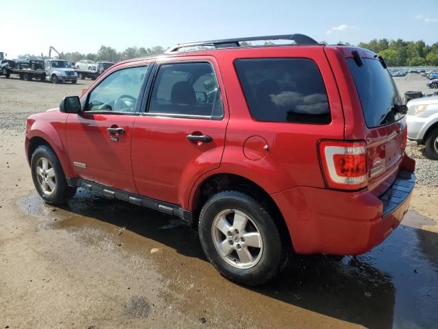 2010 Ford Escape XLT