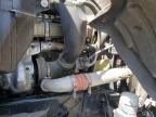 2021 Freightliner Cascadia 126