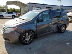 Honda Odyssey exl salvage cars for sale: 2013 Honda Odyssey EXL