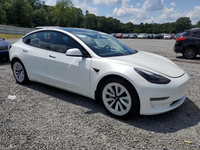 2021 Tesla Model 3