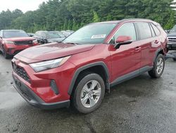 Toyota rav4 salvage cars for sale: 2024 Toyota Rav4 XLE