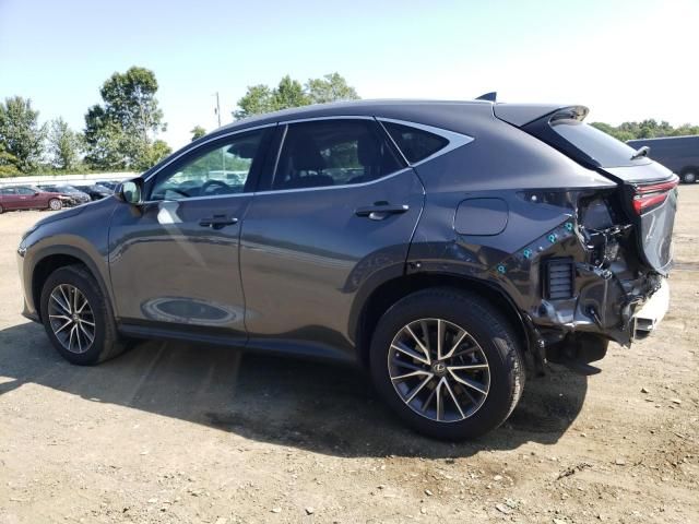 2023 Lexus NX 350