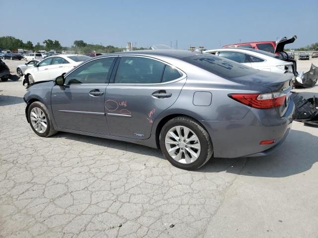 2015 Lexus ES 300H