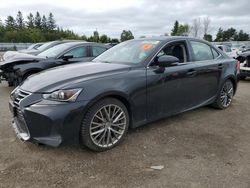 2020 Lexus IS 300 Premium en venta en Bowmanville, ON