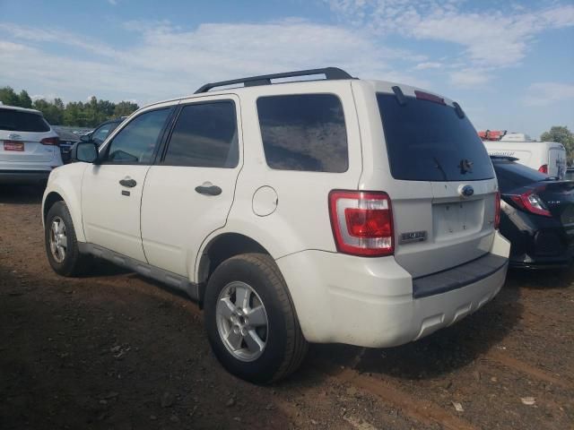 2009 Ford Escape XLT