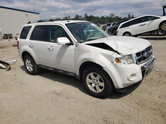 2011 Ford Escape Limited