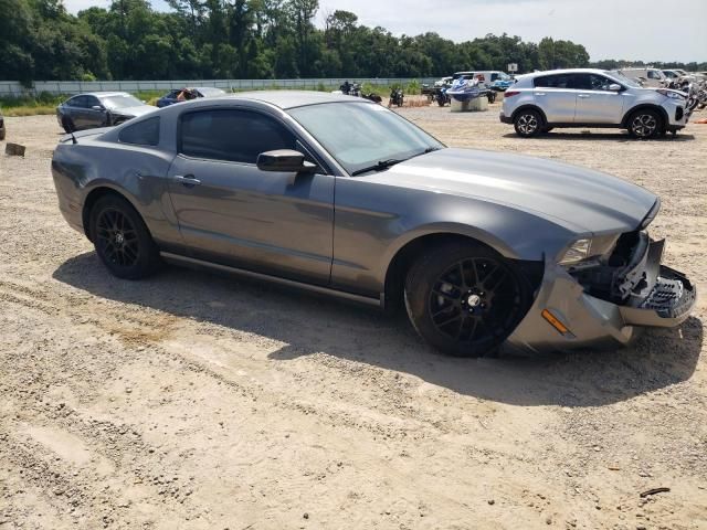 2014 Ford Mustang