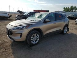 Ford Escape salvage cars for sale: 2020 Ford Escape SE