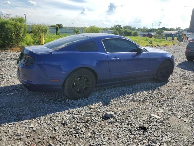 2014 Ford Mustang