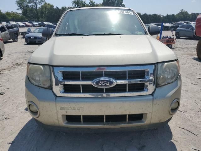 2011 Ford Escape XLT